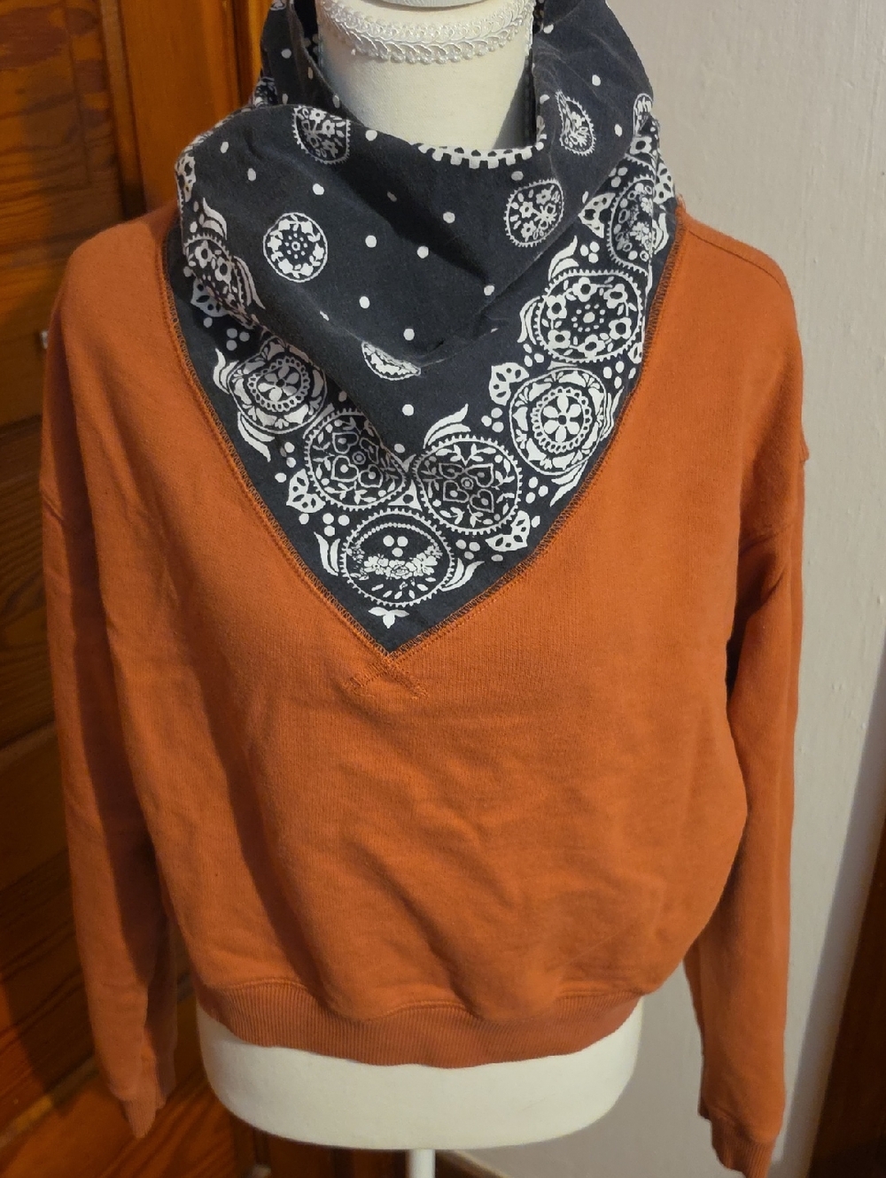 Free People Rust V-Neck Pullover Sweater